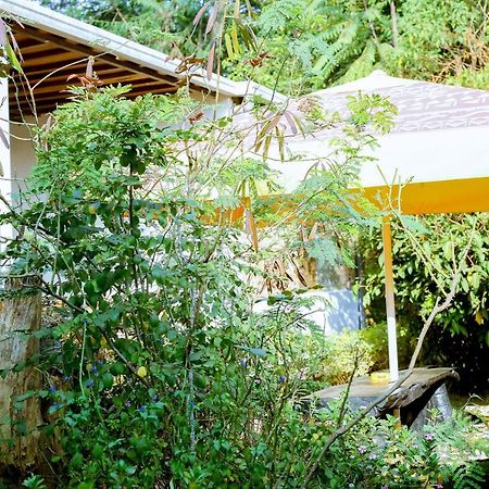 كيغالي Inzozi Africa House B&B-Kimihurura المظهر الخارجي الصورة